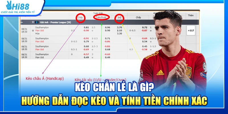 Kèo Chẵn Lẻ Là Gì? Hướng Dẫn Đọc Kèo Và Tính Tiền Chính Xác