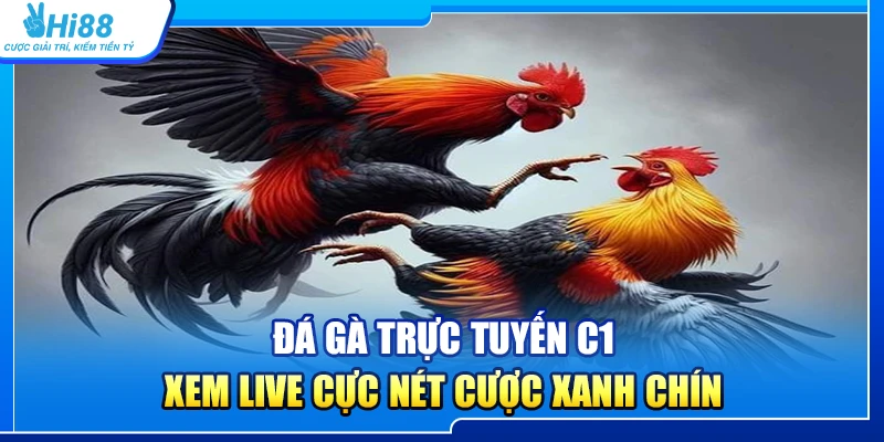 Đá Gà Trực Tuyến C1 – Xem Live Cực Nét Cược Xanh Chín tại Hi88