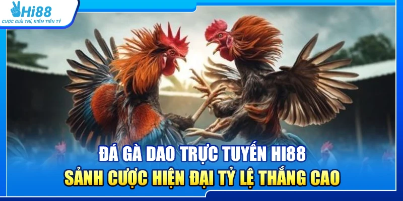 Đá Gà Dao Trực Tuyến Hi88 – Sảnh Cược Hiện Đại Tỷ Lệ Thắng Cao