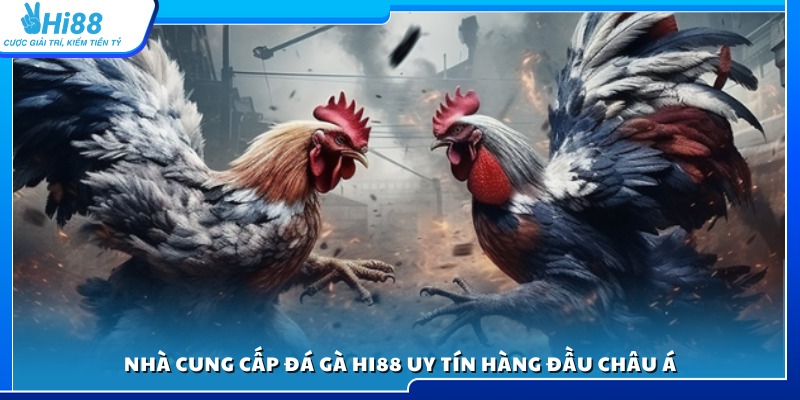 Hi88 hợp tác cùng các nhà cung cấp đá gà danh tiếng châu
